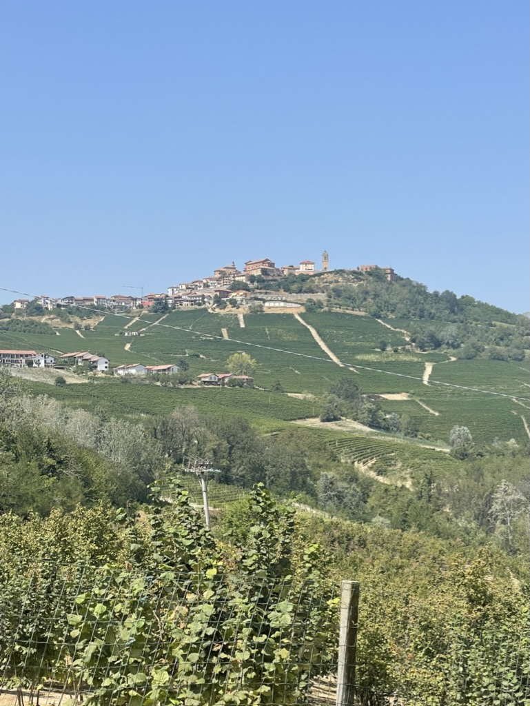 Piedmont, Italy – August&nbsp;2023